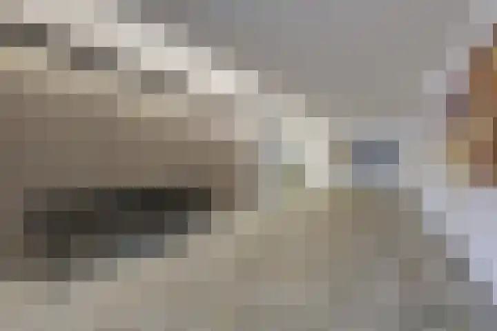 Den Heuvel 104 Velp thumbnail 9