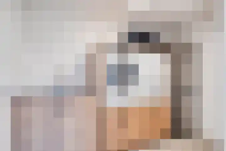 Den Hil 23 Sint Anthonis thumbnail 11