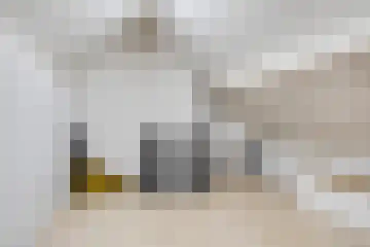 Den Hil 23 Sint Anthonis thumbnail 22