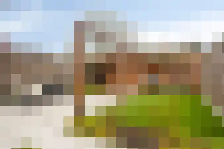 Den Hil 23 Sint Anthonis thumbnail 23