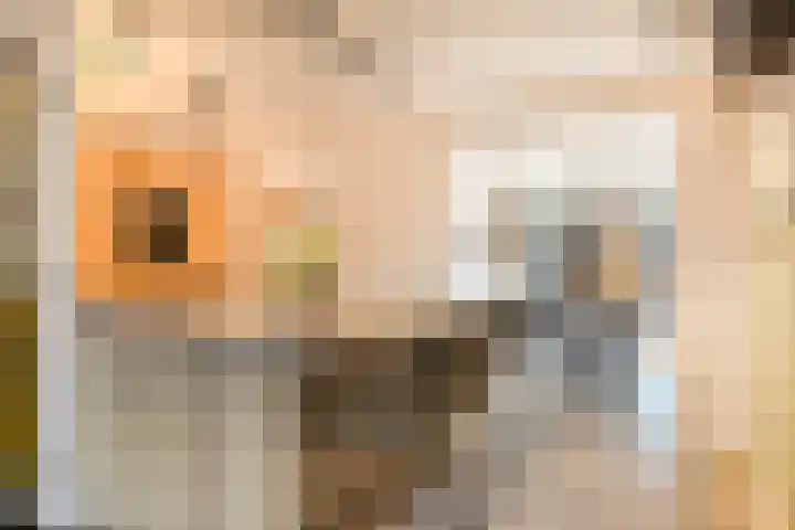 Den Hil 23 Sint Anthonis thumbnail 8