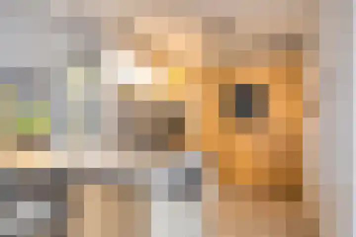 Den Hil 23 Sint Anthonis thumbnail 9