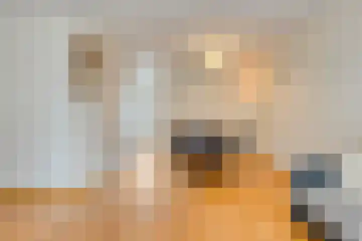 Den Hof 23 Nistelrode thumbnail 12