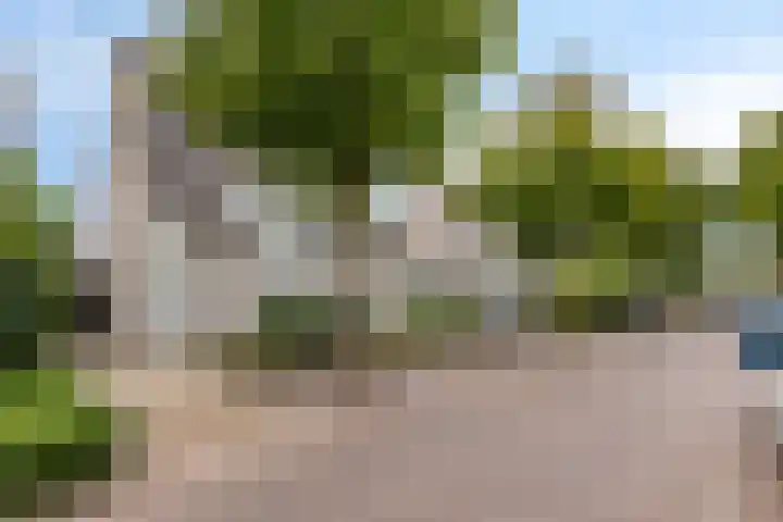 Den Hof 23 Nistelrode thumbnail 29