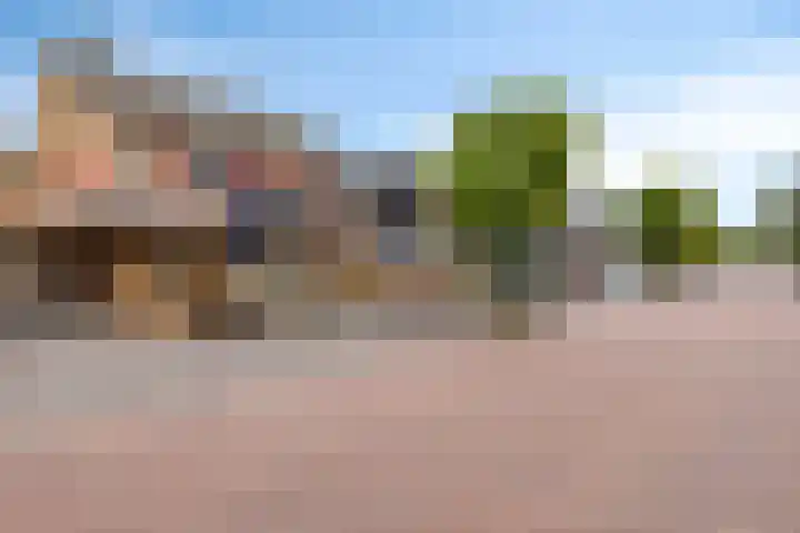 Den Hof 23 Nistelrode thumbnail 30