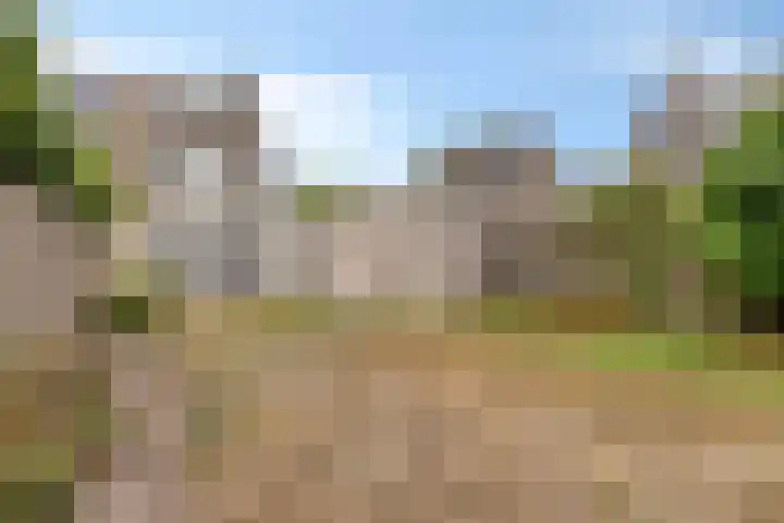 Den Hof 23 Nistelrode thumbnail 4