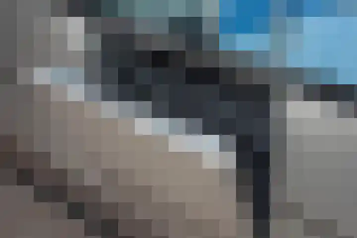 Den Hof 4 Delden thumbnail 16