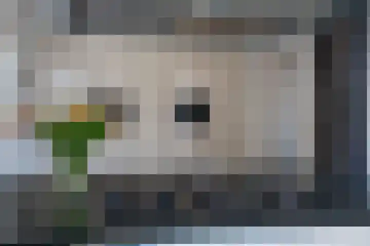 Den Hof 4 Delden thumbnail 18