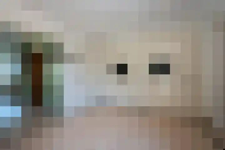 Den Hof 4 Delden thumbnail 19