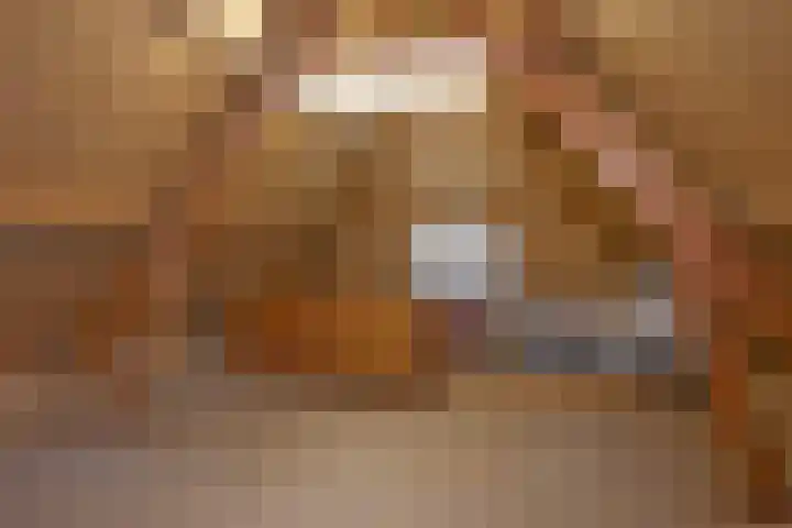 Den Hof 4 Delden thumbnail 48
