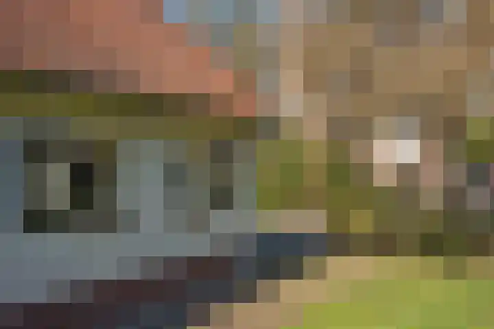 Den Hof 4 Delden thumbnail 59