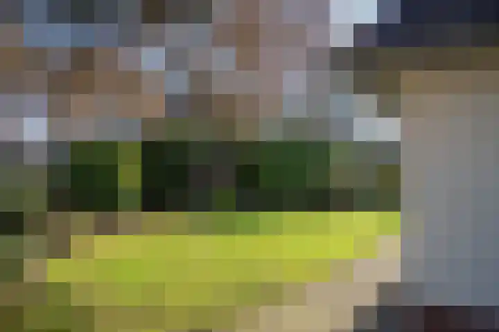 Den Hof 4 Delden thumbnail 60