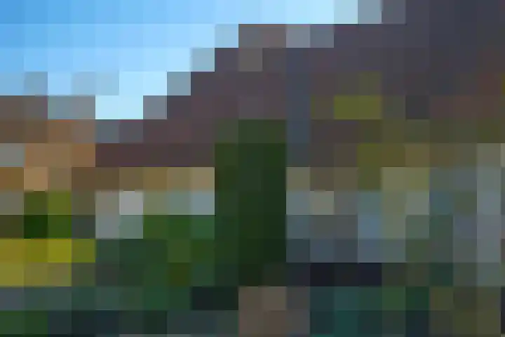 Den Hof 4 Delden thumbnail 70