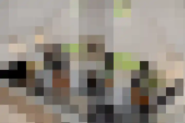 den Hof 6 Mierlo thumbnail 12