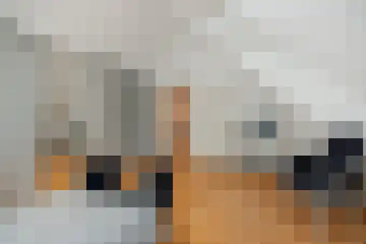 den Hof 6 Mierlo thumbnail 25