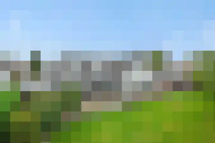 den Hof 6 Mierlo thumbnail 32