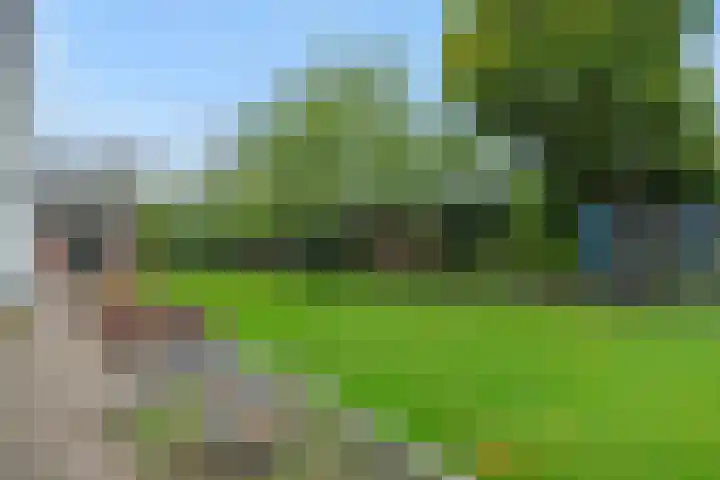 den Hof 6 Mierlo thumbnail 33