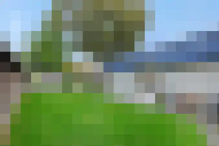 den Hof 6 Mierlo thumbnail 46