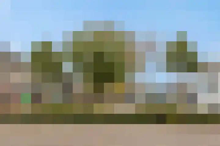 den Hof 6 Mierlo thumbnail 60