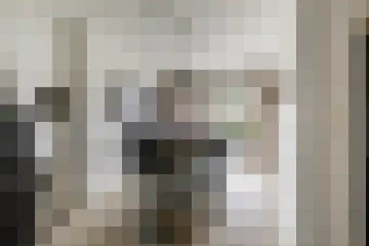 Den Hoogenbeemd 6 Meijel thumbnail 11