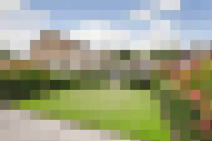 Den Hoogenbeemd 6 Meijel thumbnail 26