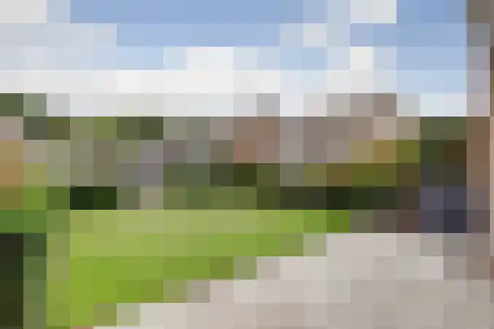 Den Hoogenbeemd 6 Meijel thumbnail 27