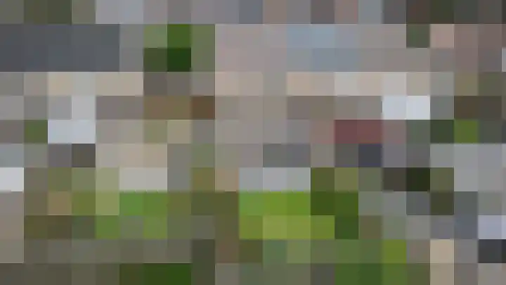 Den Hoogenbeemd 6 Meijel thumbnail 33