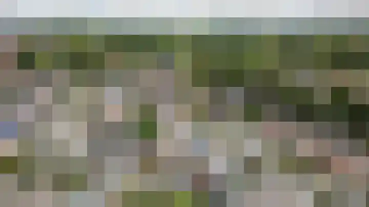 Den Hoogenbeemd 6 Meijel thumbnail 34