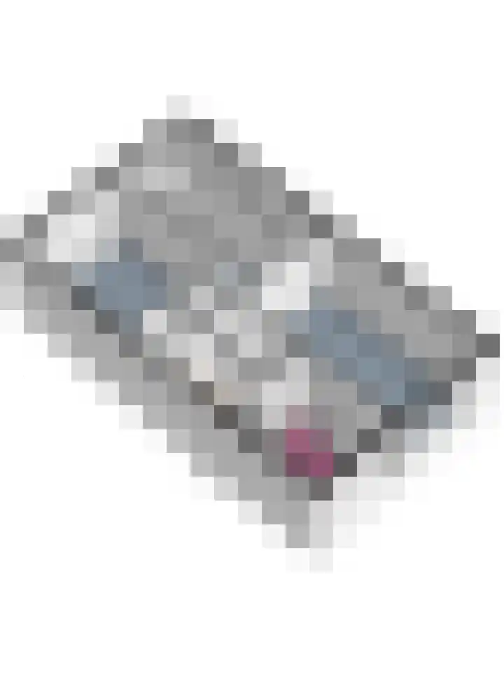 Den Hoogenbeemd 6 Meijel thumbnail 40
