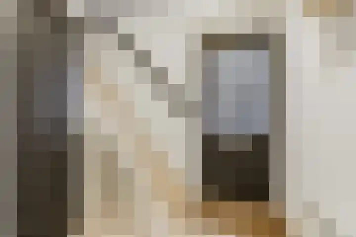 Den Hoogenbeemd 6 Meijel thumbnail 6