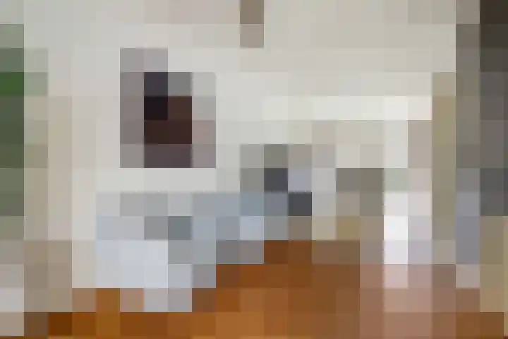 Den Hoogenbeemd 6 Meijel thumbnail 9