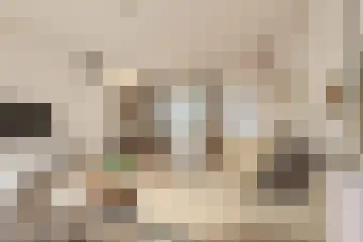 Den Hul 6 Lith thumbnail 10