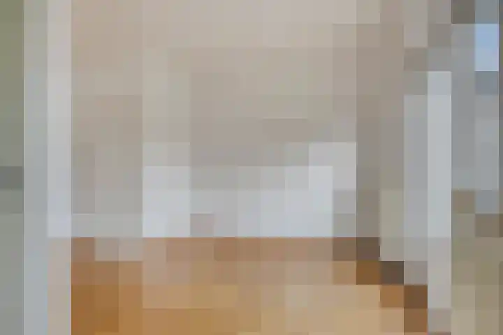 Den Hul 6 Lith thumbnail 11