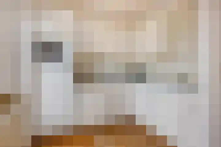 Den Hul 6 Lith thumbnail 12