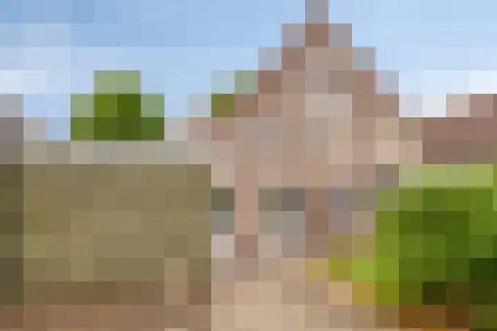 Den Hul 6 Lith thumbnail 13