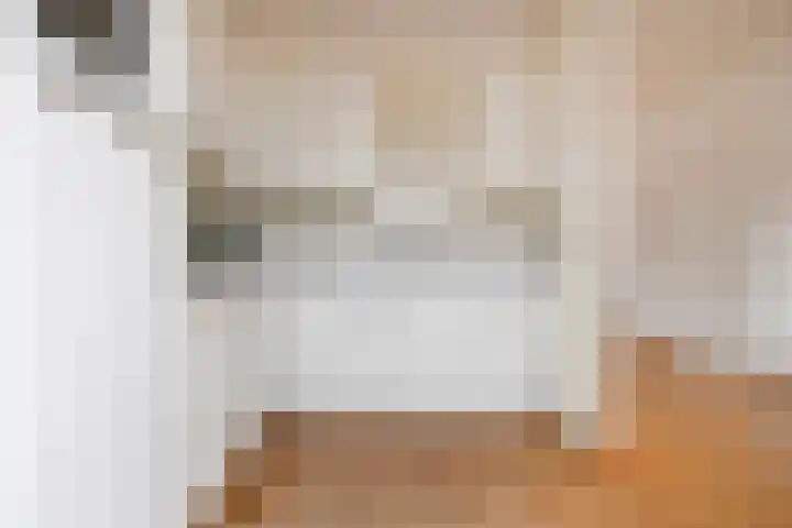 Den Hul 6 Lith thumbnail 14