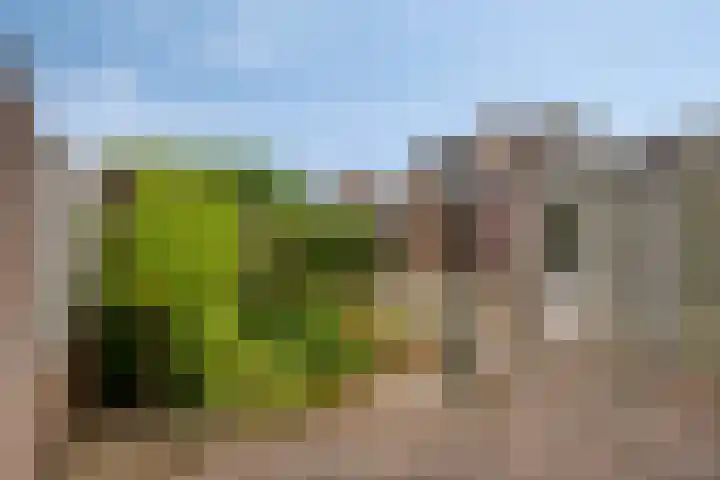 Den Hul 6 Lith thumbnail 15