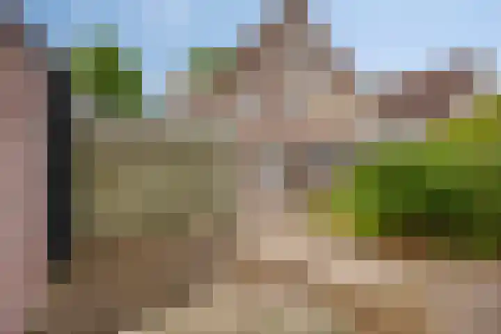 Den Hul 6 Lith thumbnail 16