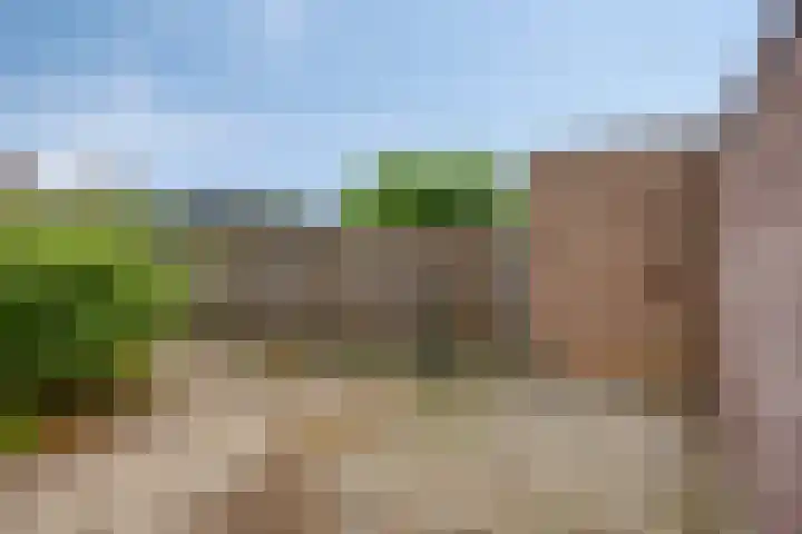 Den Hul 6 Lith thumbnail 17