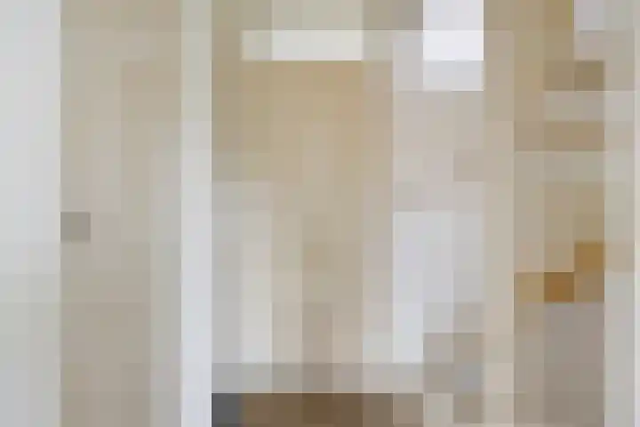 Den Hul 6 Lith thumbnail 21
