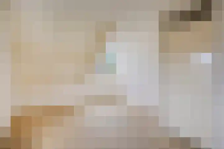 Den Hul 6 Lith thumbnail 22