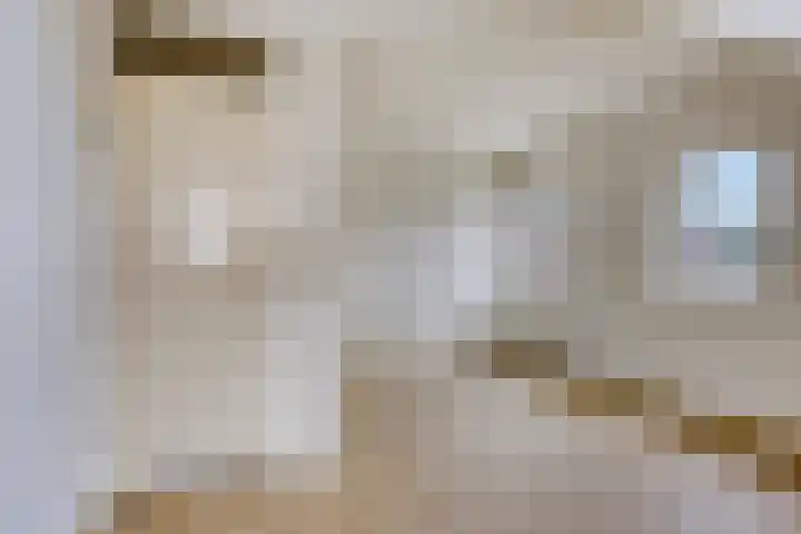 Den Hul 6 Lith thumbnail 23