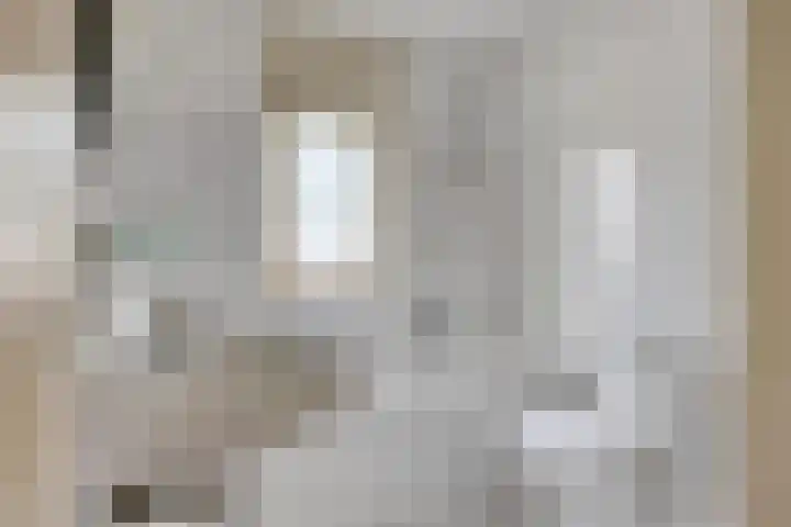 Den Hul 6 Lith thumbnail 24