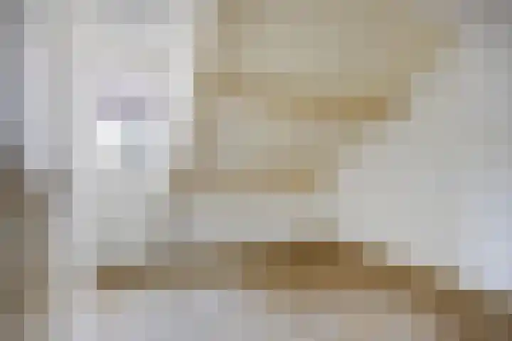 Den Hul 6 Lith thumbnail 26