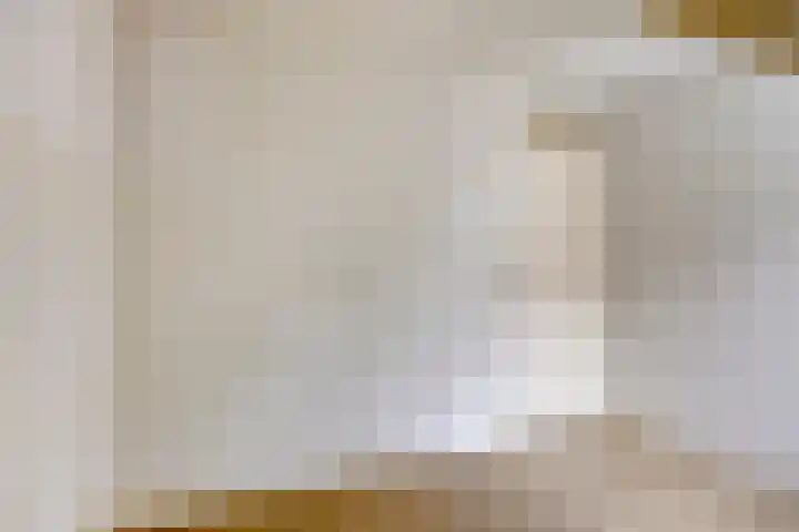 Den Hul 6 Lith thumbnail 27