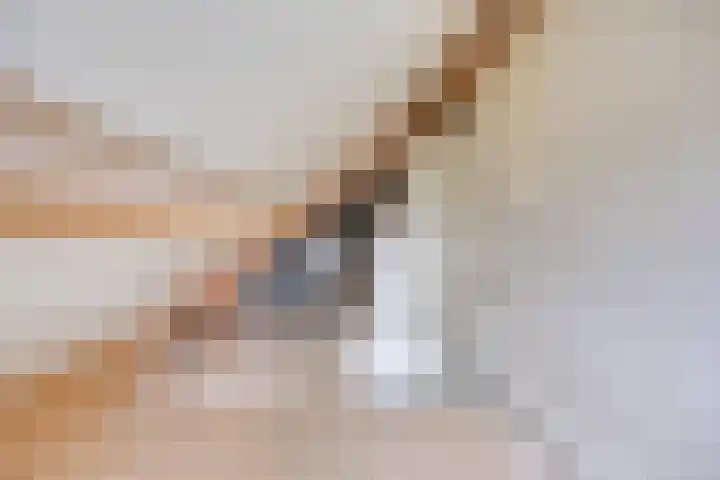 Den Hul 6 Lith thumbnail 28