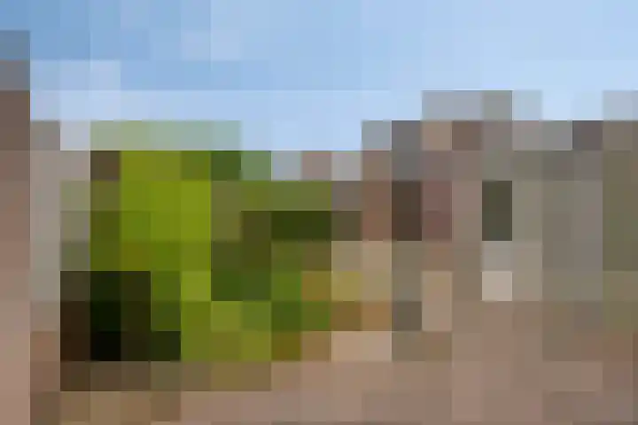 Den Hul 6 Lith foto 3