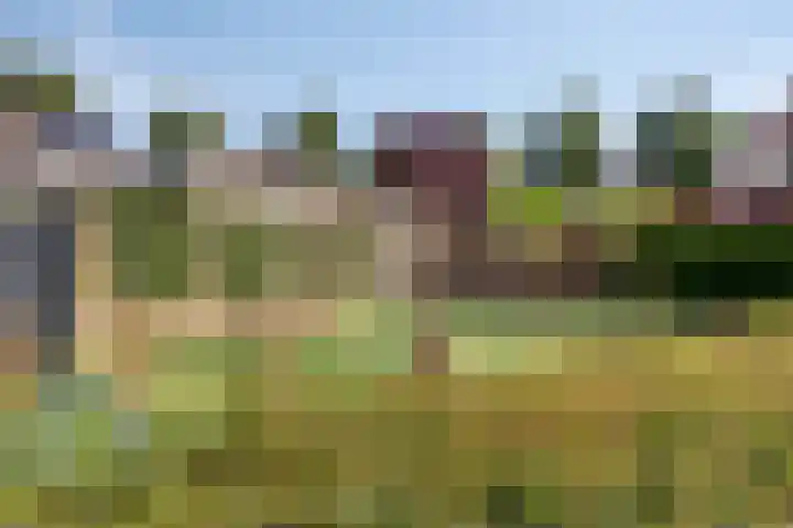 Den Hul 6 Lith thumbnail 30