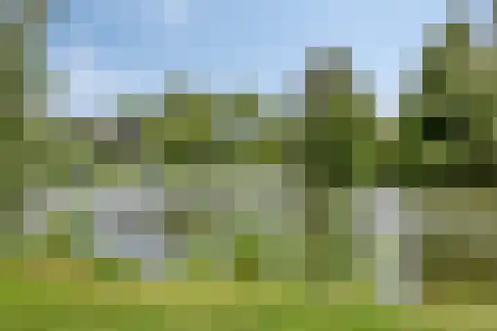 Den Hul 6 Lith thumbnail 31
