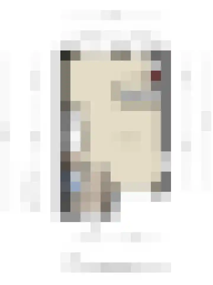 Den Hul 6 Lith thumbnail 32